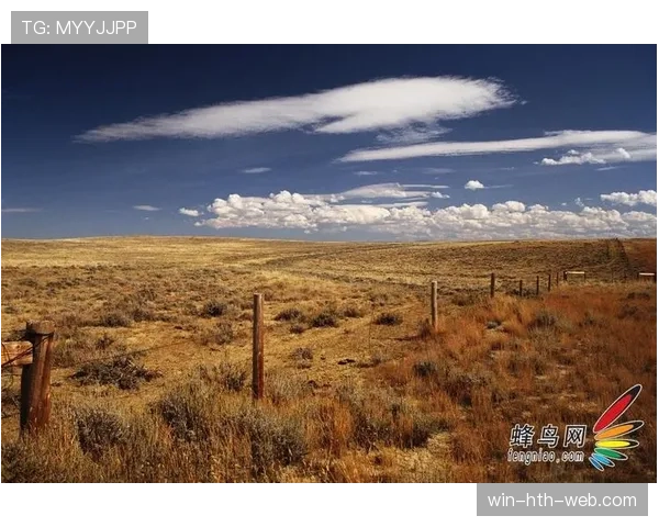 奥利塞距离顶级球星的关键差距：技术天赋之外的成长瓶颈与突破路径