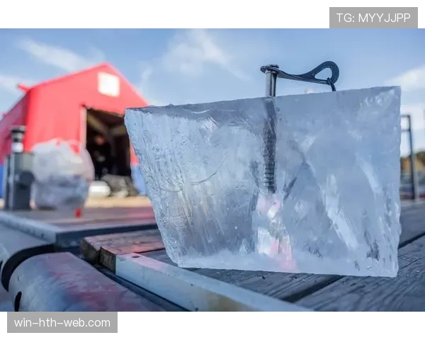 埃琳·安德森训练完直接啃冰块？这自律程度我连喝水都觉得自己在放纵